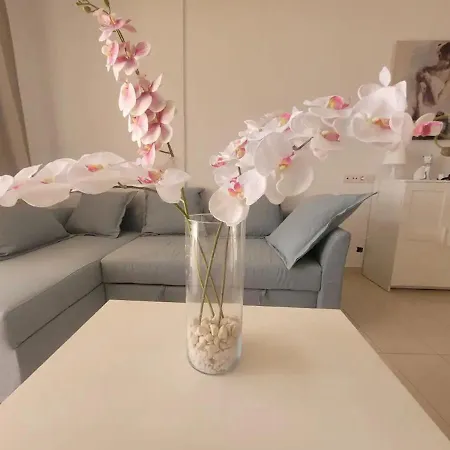 Apartamento Oasis Apartment